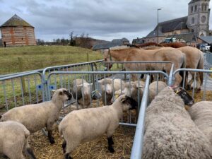 Beaucoup de monde pour cette nouvelle édition de la Foire de la CHandeleur