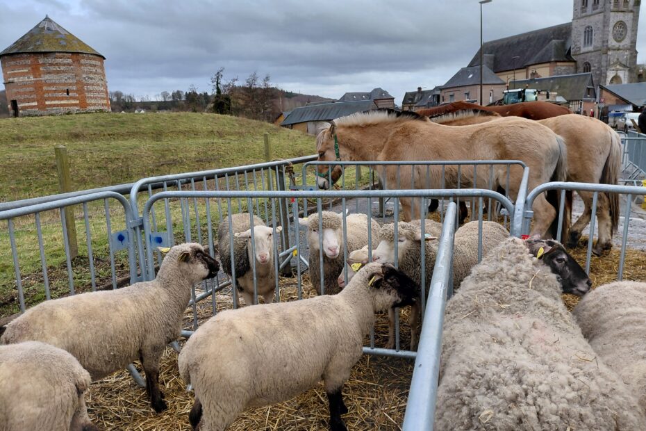 Beaucoup de monde pour cette nouvelle édition de la Foire de la CHandeleur